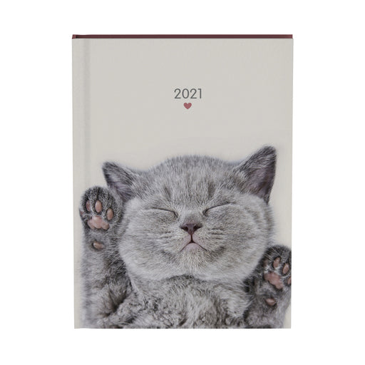 Agenda 2022 my favourite friends cats