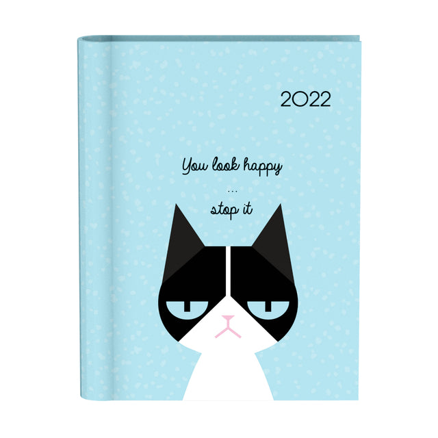 Agenda 2022 katten blauw
