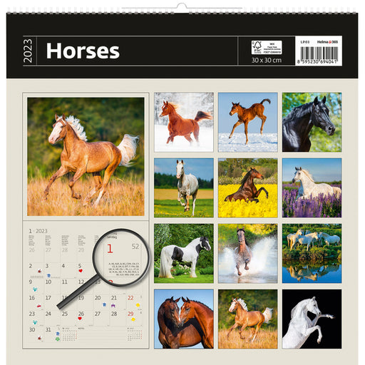 Kalender 2023 Helma 365 30x30cm Paarden
