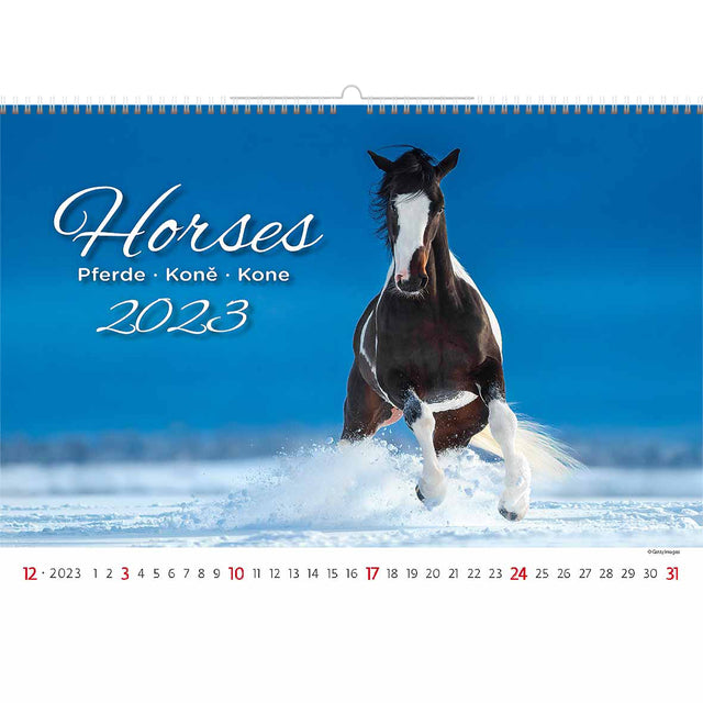 Kalender 2023 Helma 365 45x31.5cm Paarden