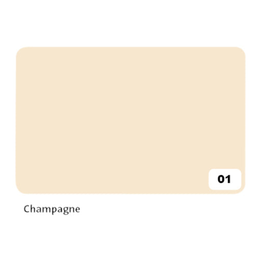 Fotokarton Folia 2zijdig 50x70cm 300gr nr01 champagne (per 10 stuks)