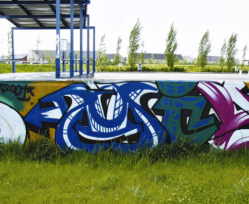 Graffiti verwijderaar HG 600ml.