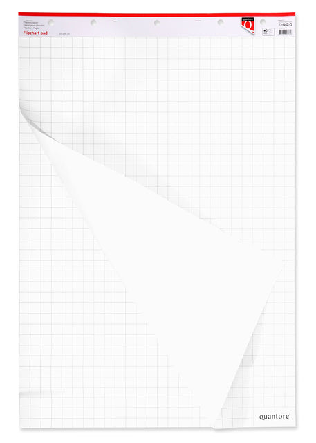 Flipoverpapier Quantore 65x98cm 50vel ongevouwen (per 2 stuks)