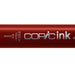 Copic Ink R14 Light Rouge
