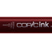 Copic Ink RV29 Crimson