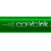 Copic Ink YG01 Green Bice