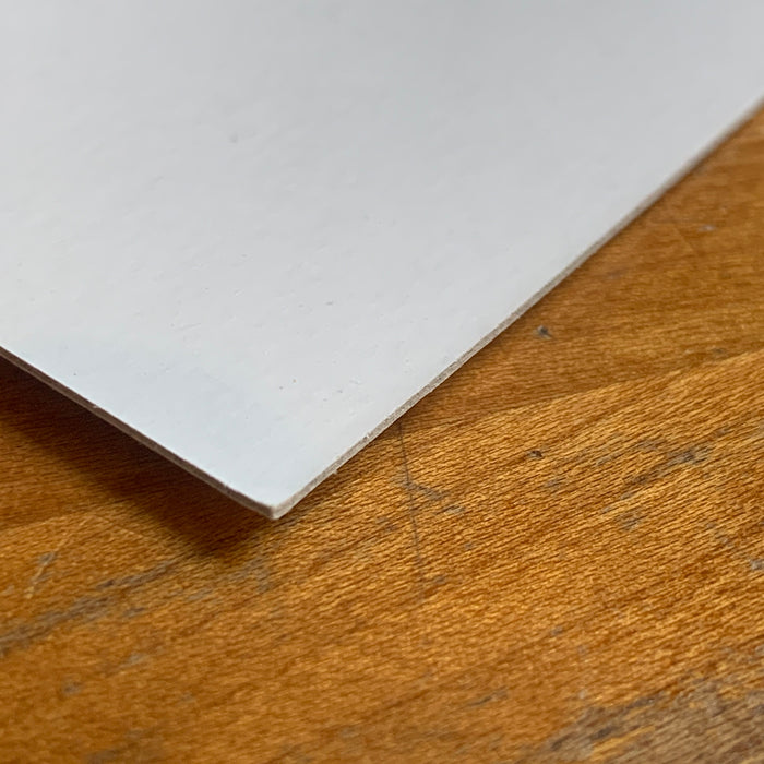 Scanstick karton 0.8mm 100 x 125 cm (10 platen)