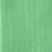 Copic Marker G14 Apple Green (3 stuks)