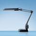 Bureaulamp Hansa met spaarlamp Ecostar zwart