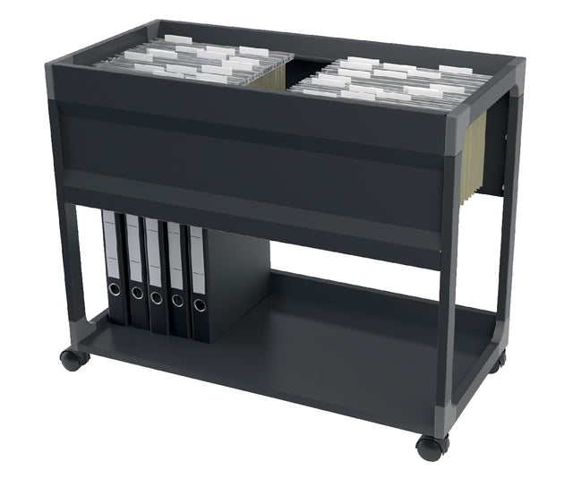 Hangmappenboy Durable 3785 multi zwart