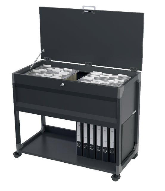 Hangmappenboy Durable 3787 multi zwart