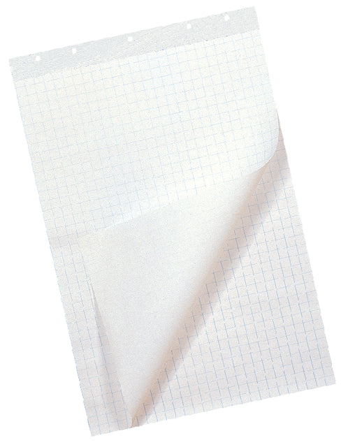 Flipoverpapier Quantore 65x98cm 50vel ongevouwen (per 2 stuks)